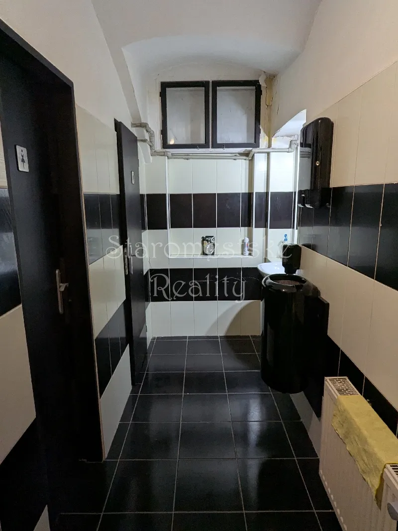 3-izb., 160m2, nebytový priestor Alžbetina náhľad 9
