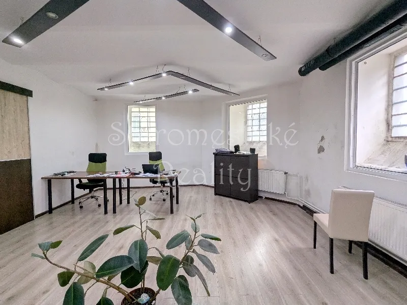 3-izb., 160m2, nebytový priestor Alžbetina náhľad 5