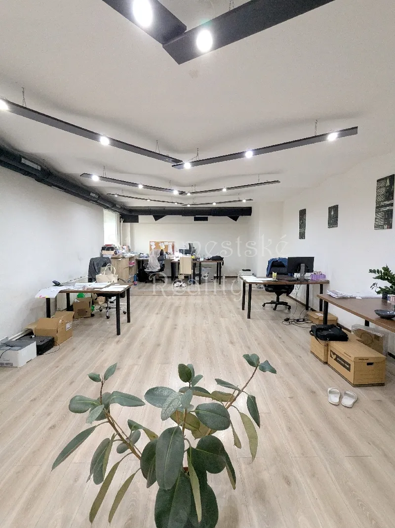 3-izb., 160m2, nebytový priestor Alžbetina náhľad 7